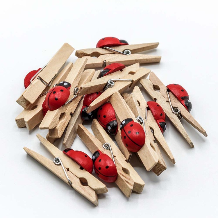 260027 Прищепки декоративные Божья коровка 4,5 см*1,4 см (100 штук) 1/48
