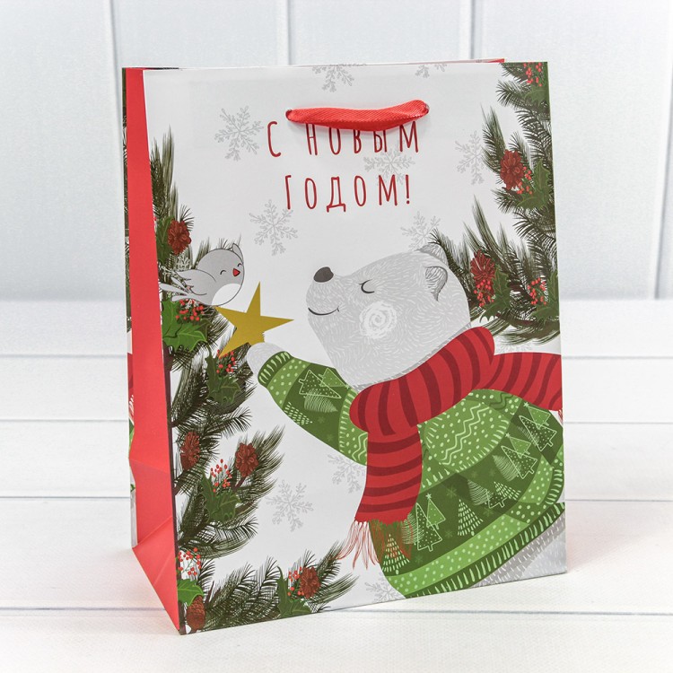 300430E Пакет подарочный "Новый год" (микс 430) 18*23*10 128г 1/20 1/480