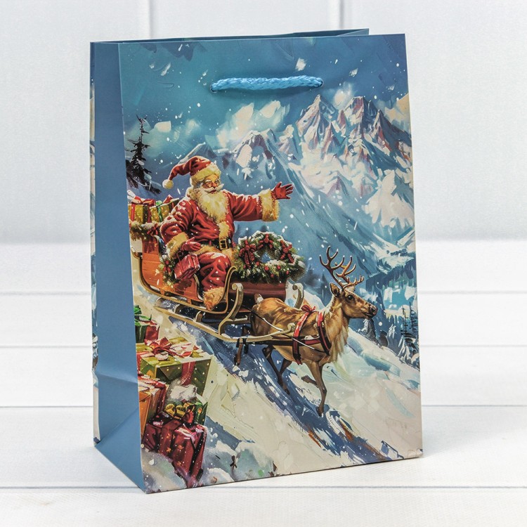 300431G Пакет подарочный "Новый год" (микс 431) 14*20*8 128г 1/20 1/600