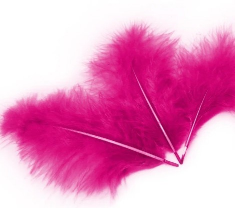1501-4131 Перья декоративн ярко-розовые 10см 30штG 1501-4131 Перья декоративн ярко-розовые 10см 30штG