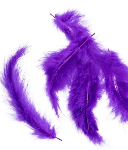 1501-7084 Перья декоративные Фиолетовые 10см 30штG 1501-7084 Перья декоративные Фиолетовые 10см 30штG