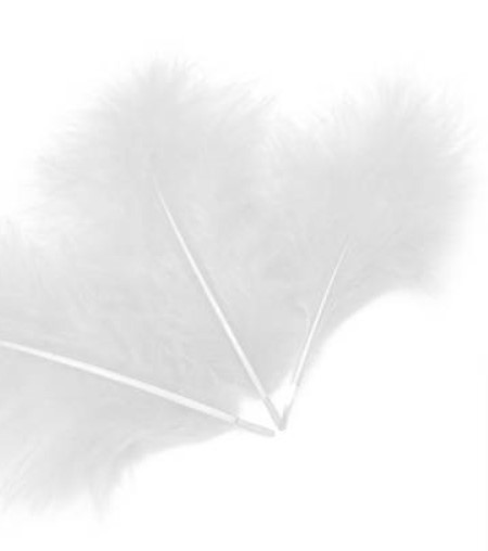 1501-4203 Перья декоративные Белые 10см 30шт/G 1501-4203 Перья декоративные Белые 10см 30шт/G