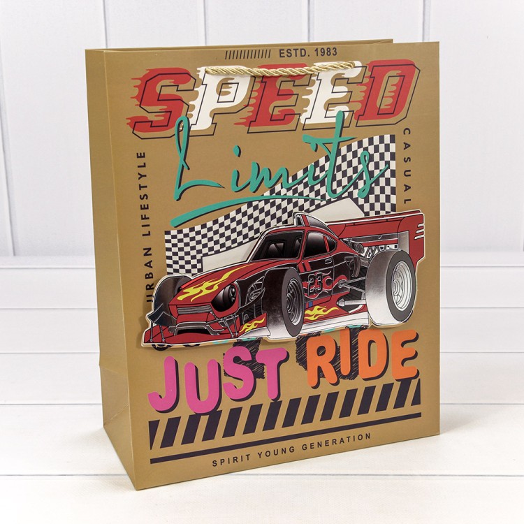 000266C Пакет подарочный с 3D аппликацией "Детский" (микс 266) 26*32*12 210г 1/20 1/240